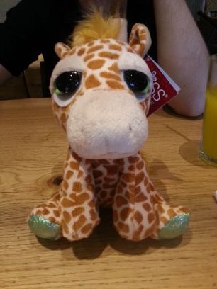 born/ mew family 5th september 2014

brian the giraffe feel free to ask why Brian!!!