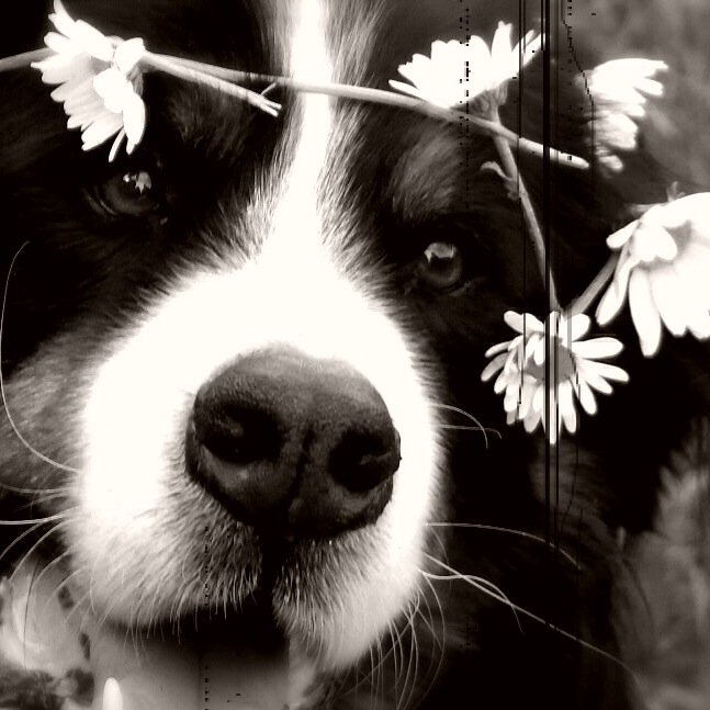 LUCAS147CB's profile picture. 