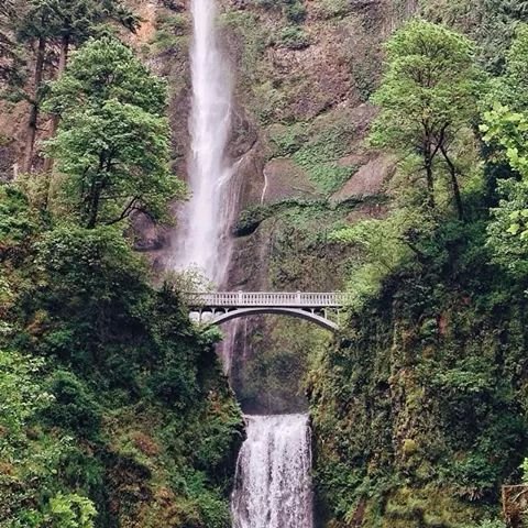 AngAlbCresMac's profile picture. 