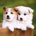 Marilyn Gibbs (@5757f6a8cc97452) Twitter