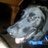 Twags219's profile image