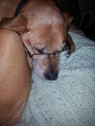 Madisoncalculus's profile picture. Calculus teacher.   Life is hard,  Calculus prepares you for it.