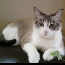 Mary Sova - @mbsova1 - Twitter