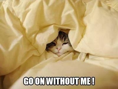 Tafeathers's profile picture. I've been married to @theycallmemr_t for 20 years. He is the HoH and I submit to him. I love him and 'ttwd'!! 21+