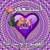 moonqatar (@tweetanoud) Twitter profile photo
