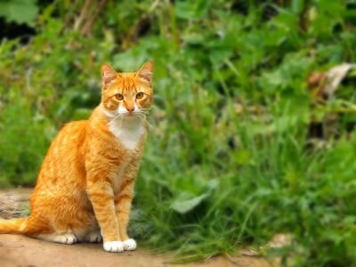 mechtatelnij8's profile picture. #взаимныйфолловинг #ff_ru #followback #цепочкафолловеров