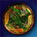 PLOS Synbio (@plossynbio) Twitter profile photo PLOS Synbio (@plossynbio) Twitter profile photo