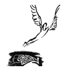 Robin Cunningham - @CunningBird - Twitter