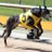 Zipping_Spice's profile image