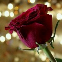 عايشه البقمي (@sa12_sa1) 's Twitter Profile