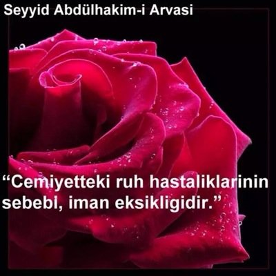 Kul,Evlad,Kardeş,Abla,Eş Anne...Gavsi Sani Hz Mürid'i(Manevi Evlad'ı)