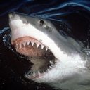 Cade Brewer  - @BrewerCade - Twitter