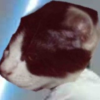 Toi too miau esta orina esta toa full no me rayes loco que yo #rayomasquetuylosabes