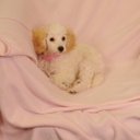 Penelope Ellis - @pengwyn1969 - Twitter