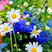 LoLsmil3yface77's profile picture. I'll follow everyone who follows me. :) #FollowBack