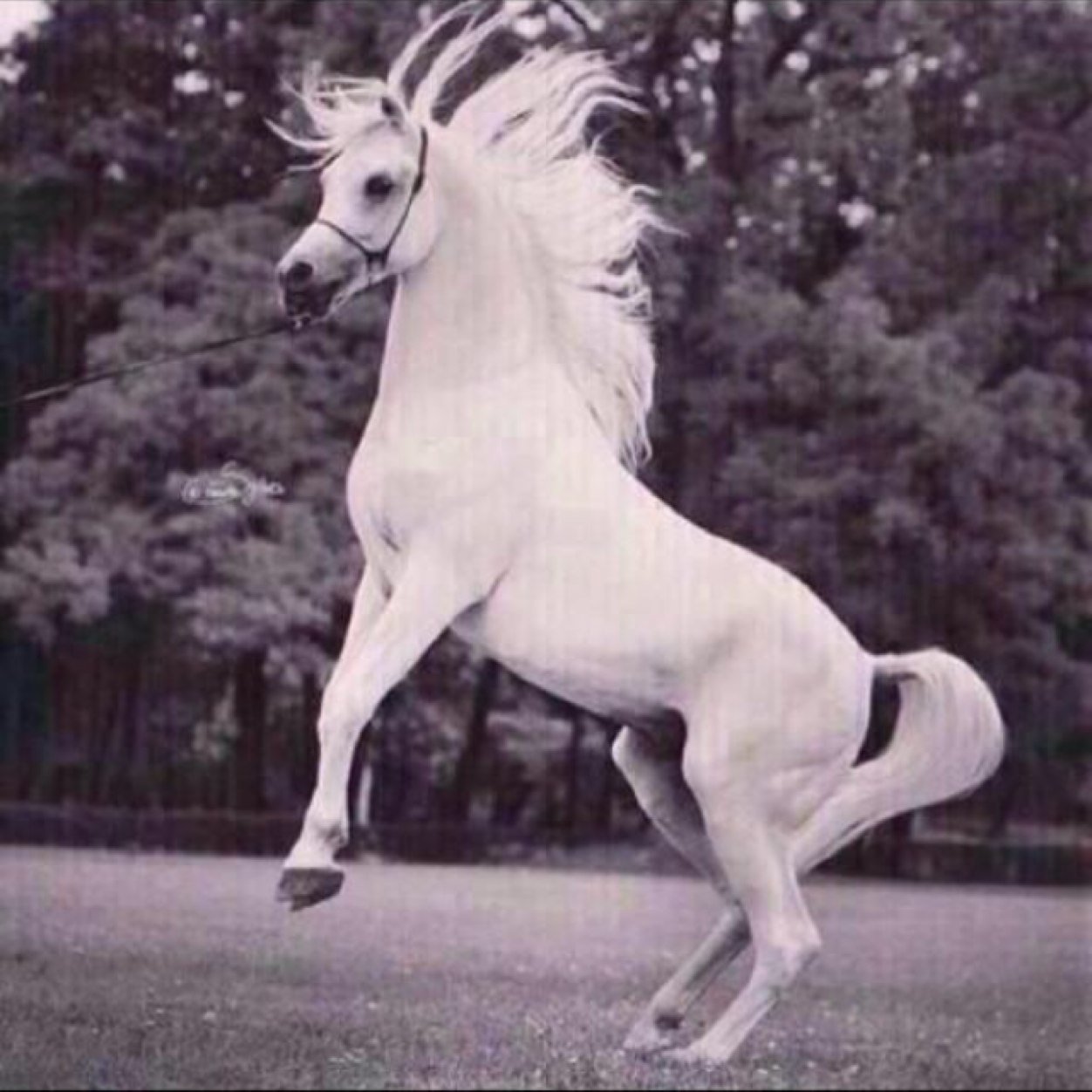 0120Zozo's profile picture. إن رحلت يوما ف.....سامحوني