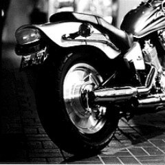 rontick15032032's profile picture. 