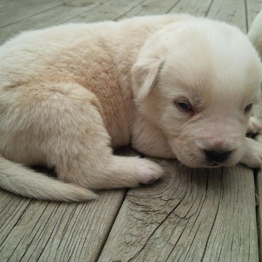 stephan60937281's profile picture. die hard Calgary Fames fan, hockey fan