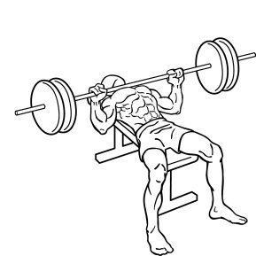 New Worldwide Strength and Fitness Team Relay Competition between Gyms