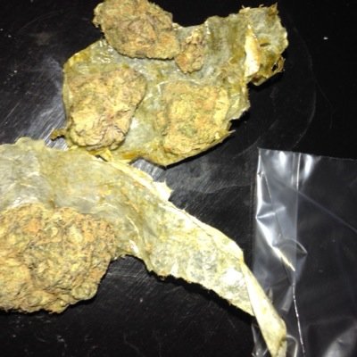 All day tweets about the best plant on the planet marijuana. Be creative and be yourself. #CannabisClub #DrugFam Make sure to follow @CaptainKeef420 & @Drkushin