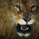 Carole Allen - @Prayse - Twitter