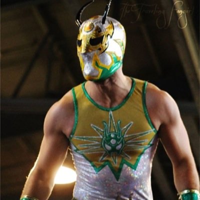 Silver Ant (@TheSilverAnt) / X