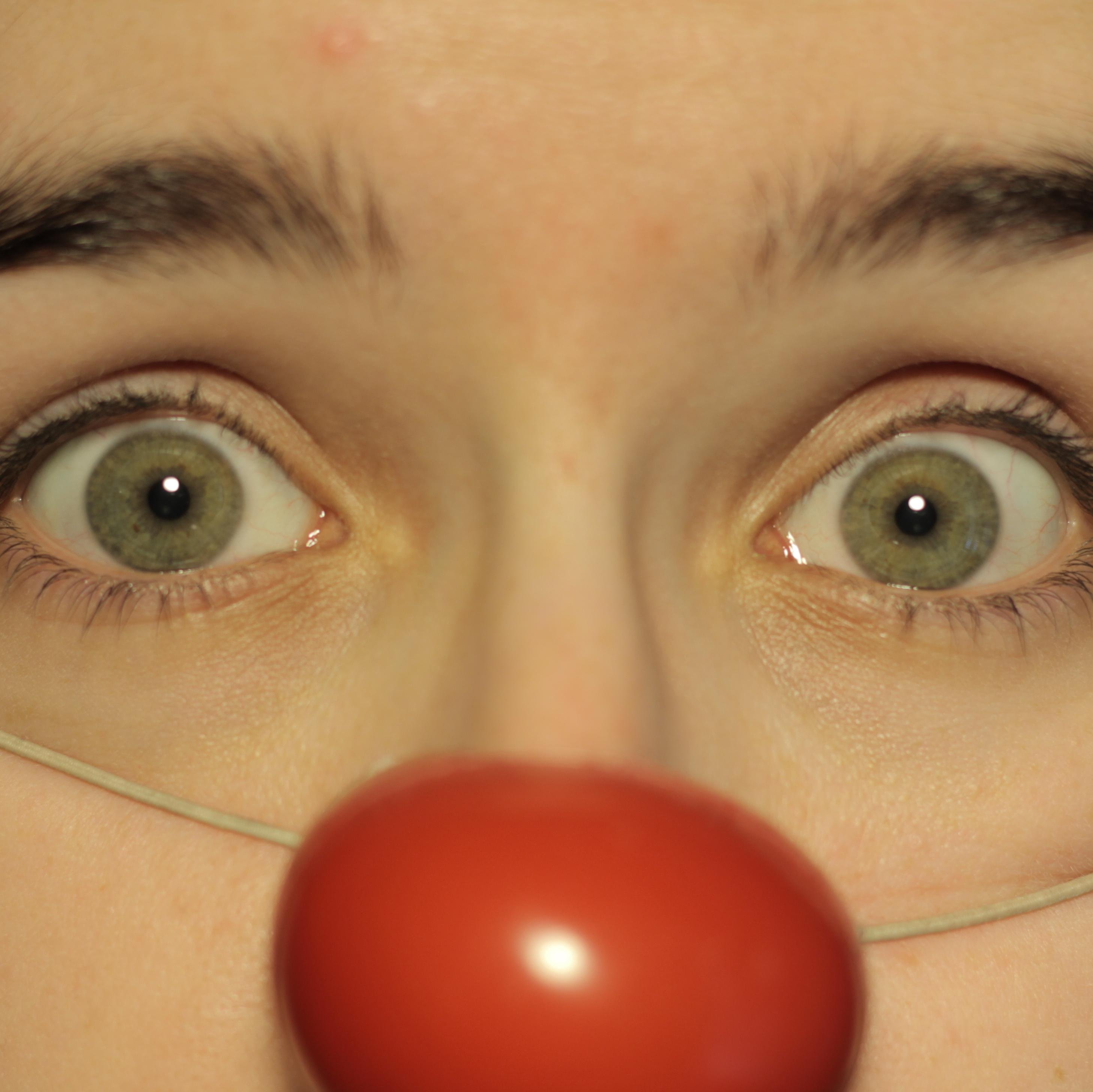 we are a collection of artists raising awareness for the plight of one Sara T Clown, recently falsely convicted of Balloon-Animal fighting.