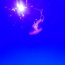 Erica Johnston - @ericaispurpley - Twitter