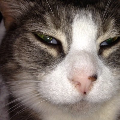 gurganusnathan's profile picture. 