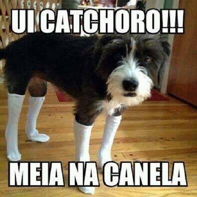 TODO MUNDO MERECE ELOGIOS , ISSO TAMBÉM FAZ PARTE DA HUMANIDADE