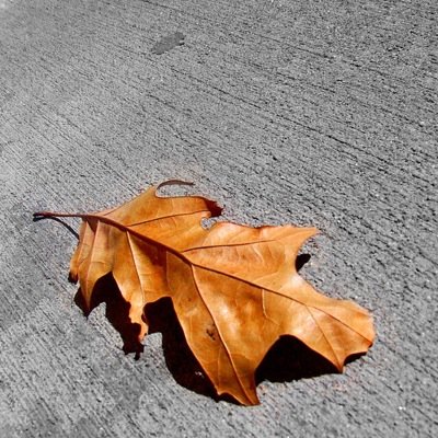 a_a_a_owata's profile picture. ただの暇つぶしアカウント。 フォローミー。