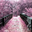 Bibi Reyes - @BibiReyes8 - Twitter