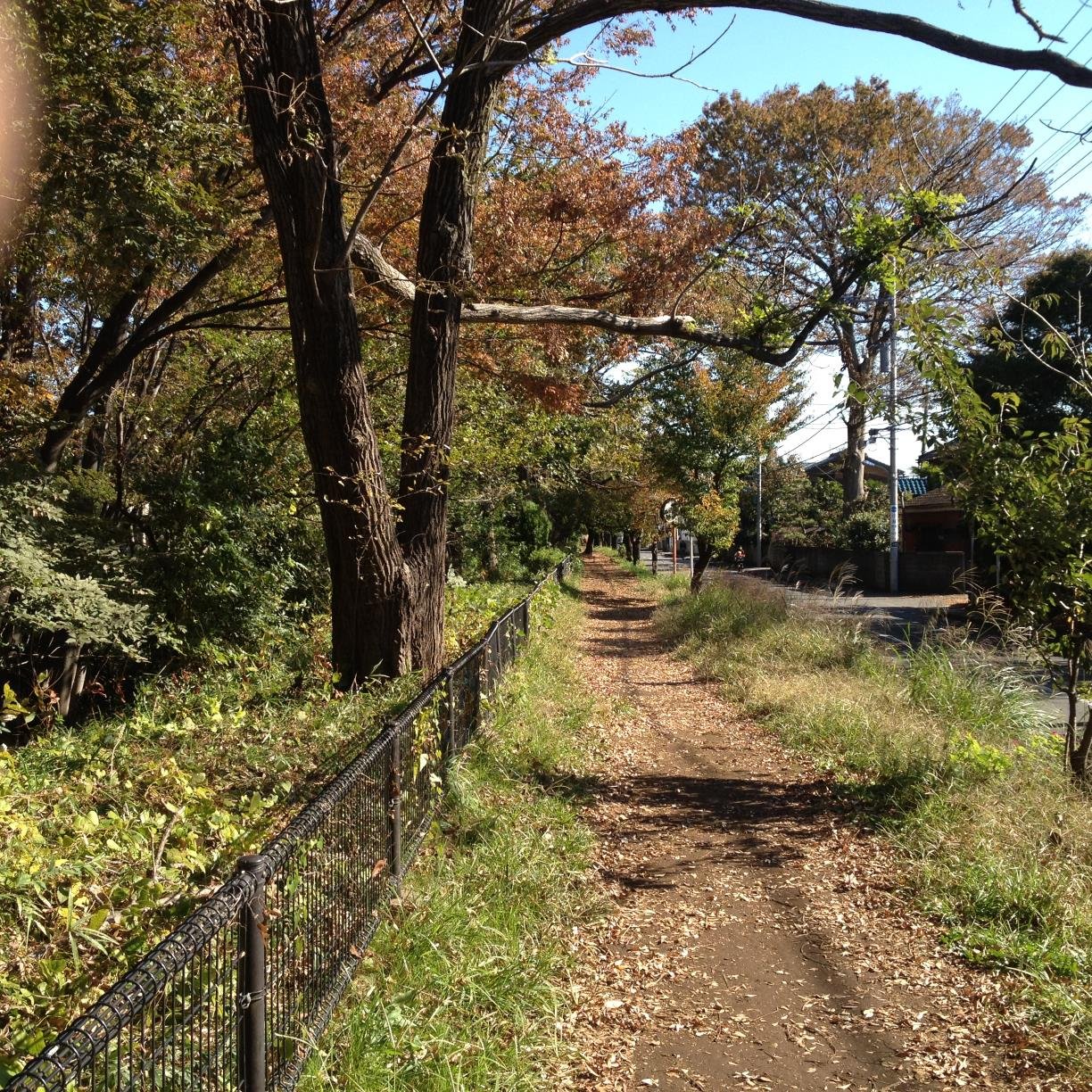 年金生活の貧乏な団塊世代の親爺です。写真は玉川上水です。私は、若い時から護憲ハト派で、その立場からツィートします。