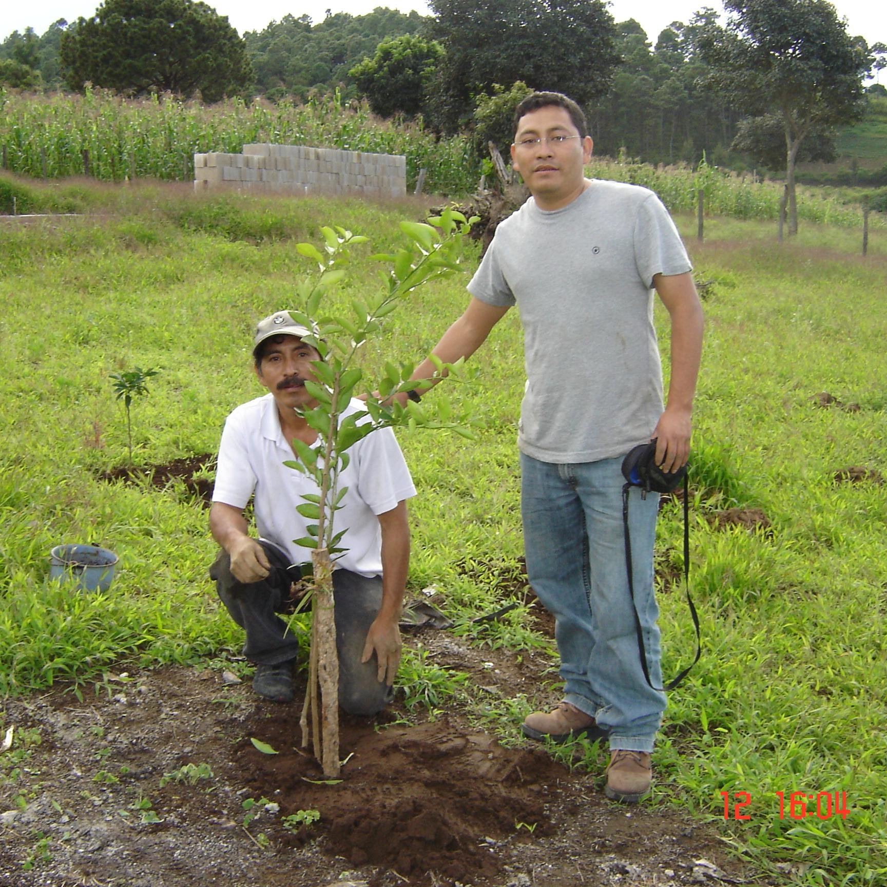 Nací en Chimaltenango en una hermosa familia, soy Profesional de Tecnologías de la Información.
