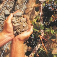GIMBLETT GRAVELS (@gimbgravels) 's Twitter Profile Photo