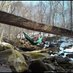 TreeBeardOutdoorGear (@treebeardgear) Twitter profile photo TreeBeardOutdoorGear (@treebeardgear) Twitter profile photo