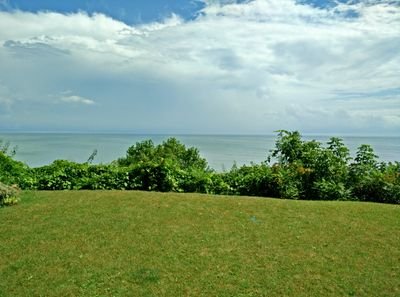 M__Shah13's profile picture. 