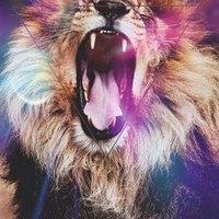 Gavin Silva (@gavicxilva) 's Twitter Profile