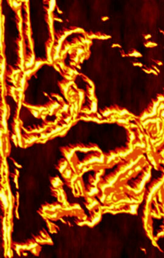 scaryjoke's profile picture. 