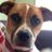 ita_michelle's profile image