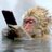 Monkeylaleyenda's profile image