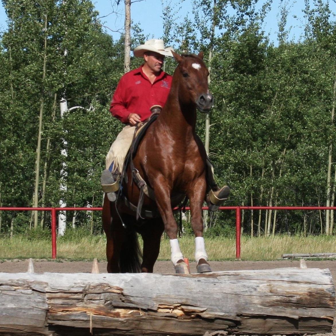 Do you remember why you got into horses? We'd love to remind you. Natural Horsemanship skills, clinics, products, adventures and more.