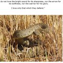 Dan Denson - @dandenson - Twitter