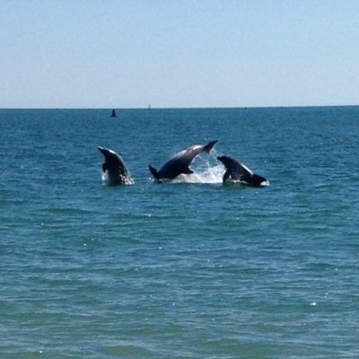 BradLRussell's profile picture. 