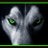 brettheflin1's profile image