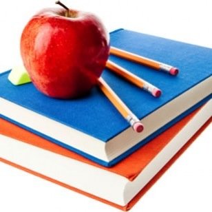 cmontalvoK's profile picture. Kinder teacher