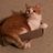 KesTheCat's profile image