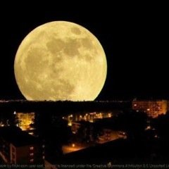 goospoon's profile picture. 