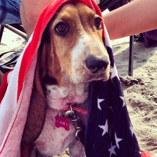 Mayelablanco's profile picture. Soñadora por excelencia. me encanta los retos que me llevan a mejorar cada día.  agradecida y feliz por lo que Dios me ha regalado.