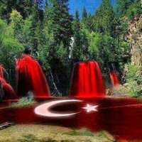 onur sevda (@zakkum_01cicegi) 's Twitter Profile